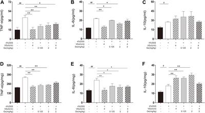 Combined Administration of Vitamin D3 and Geniposide Is Less Effective than Single Use of Vitamin D3 or Geniposide in the Treatment of Ulcerative Colitis